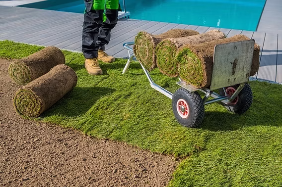 Fresh sod installation backyard